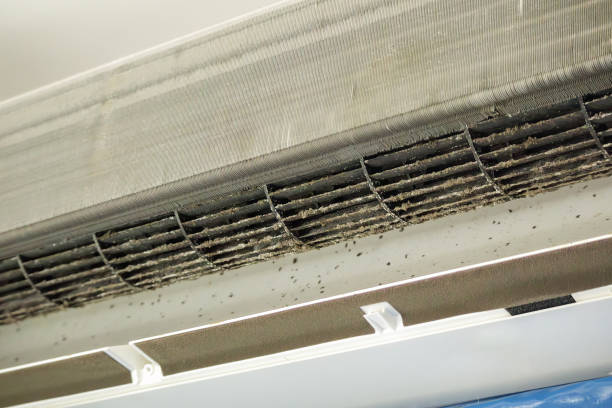 Best Affordable Duct Cleaning Services  in The Pinehills, MA